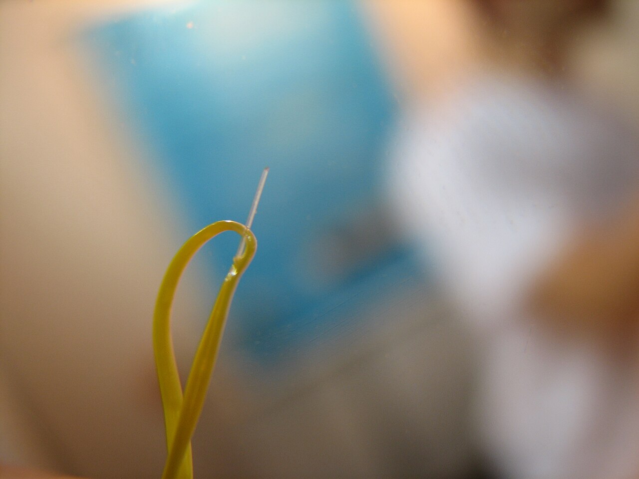 Close-up of an optical fiber